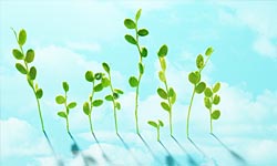 ロータリー友の会